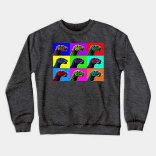 Allo Warhole Crewneck Sweatshirt